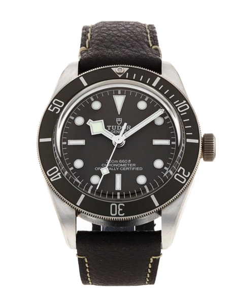 Tudor Black Bay 58 M79010SG-0001